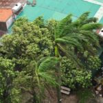 Typhoon Kajiki approaches Vietnam’s central coast