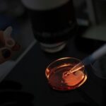 The world’s first gene-edited horses are shaking up the genteel