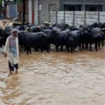 Monsoon rains and rising water levels in Sialkot district