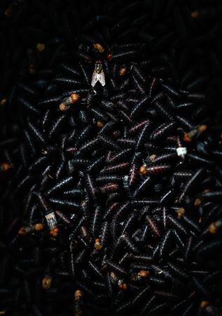tagreuters.com2025binary_LYNXMPEL9M0X5-VIEWIMAGE