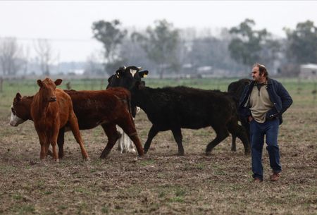 FILE PHOTO: Argentine farmers lay out political expectations before presidential