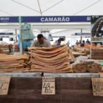 Salted fish such as pirarucu is displayed for sale at