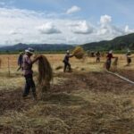 Toxic mines are poisoning Southeast Asia’s rivers, putting millions at