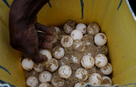 tagreuters.com2025binary_LYNXMPELAQ08Z-VIEWIMAGE