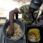 Angolan villagers go from sea turtle hunters to protectors