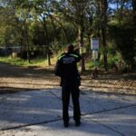 Spain mobilises military against swine fever, says contaminated sandwich could