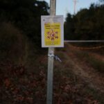 Spain mobilises military against swine fever, says contaminated sandwich could