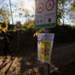 FILE PHOTO: Spain mobilises military against swine fever, says contaminated