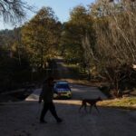 FILE PHOTO: Spain mobilises military against swine fever, says contaminated