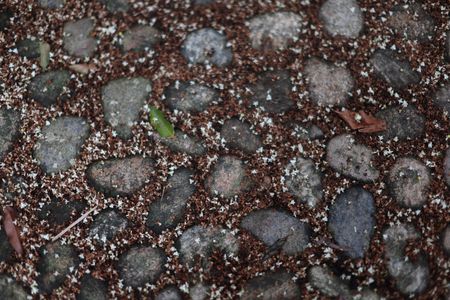 tagreuters.com2025binary_LYNXMPELB119M-VIEWIMAGE