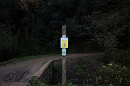 tagreuters.com2025binary_LYNXMPELB20SI-VIEWIMAGE