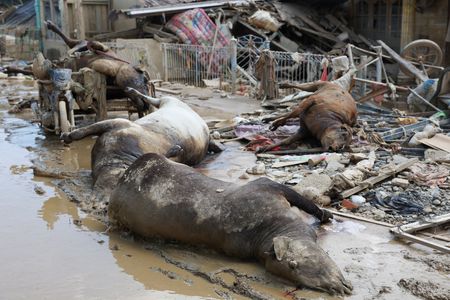 tagreuters.com2025binary_LYNXMPELB40H1-VIEWIMAGE