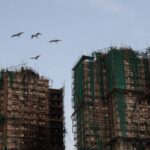 Birds fly past fire-damaged residential blocks at Wang Fuk Court