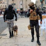 Christmas tree lighting-up outside Church of the Nativity in Bethlehem