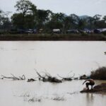 Fighting between Thailand and Cambodia spreads along contested border