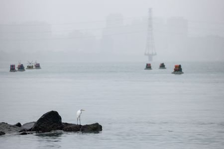 tagreuters.com2025binary_LYNXMPELBU08N-VIEWIMAGE