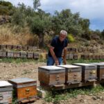 Turkish beekeeper uses air from hives as therapy for ailments