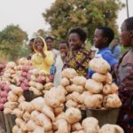 Malawians await general elections amid economic hardship, in Lilongwe