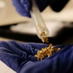 Gold samples are display at Brazil’s Federal Police ‘Ouroteca’ in