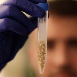 Gold samples are display at Brazil’s Federal Police ‘Ouroteca’ in