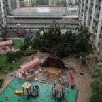 A tree lies toppled by Super Typhoon Ragasa’s fierce winds