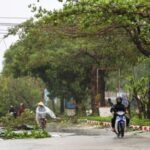 Typhoon Bualoi makes landfall in Vietnam