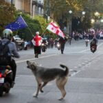 Opposition supporters hold a rally on the day of local