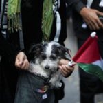 Pro-Palestinian protest in Mexico City
