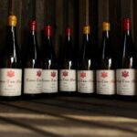 A Japanese Pinot Noir town blessed by climate change now