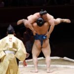The Grand Sumo Tournament