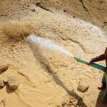 FILE PHOTO: A worker waters the site of a rare