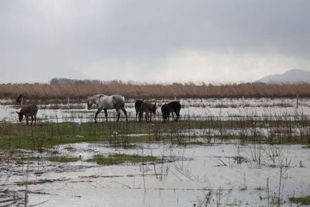 tagreuters.com2026binary_LYNXMPEM070VQ-VIEWIMAGE