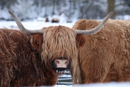 tagreuters.com2026binary_LYNXMPEM080MZ-VIEWIMAGE