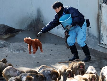 tagreuters.com2026binary_LYNXMPEM1J0D2-VIEWIMAGE