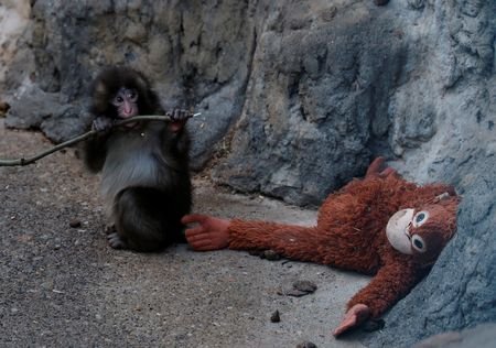 tagreuters.com2026binary_LYNXMPEM1J0DD-VIEWIMAGE