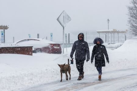 tagreuters.com2026binary_LYNXMPEM1M0SR-VIEWIMAGE