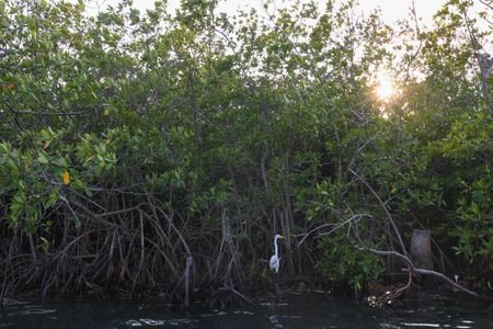 tagreuters.com2026binary_LYNXMPEM2505Q-VIEWIMAGE