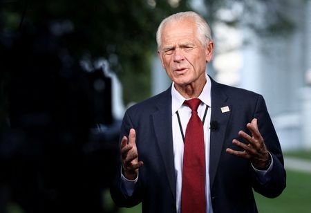 FILE PHOTO: Peter Navarro speaks at the White House in