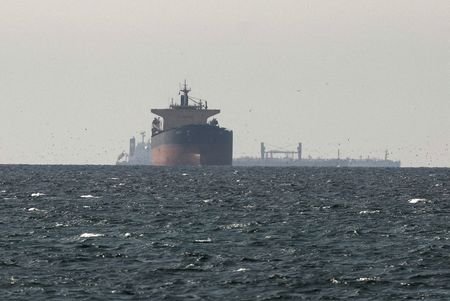 FILE PHOTO: Tankers sail in the Gulf, near the Strait