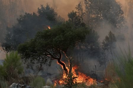 tagreuters.com2026binary_LYNXMPEM2N0GX-VIEWIMAGE