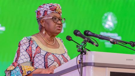 WTO chief calls for trade overhaul to meet new world order