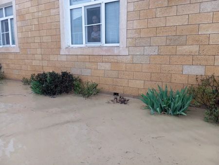 tagreuters.com2026binary_LYNXMPEM2R072-VIEWIMAGE