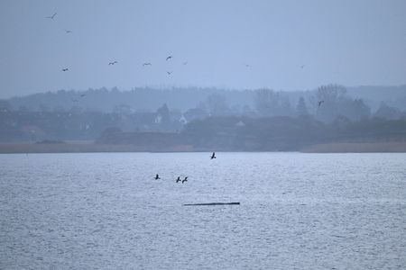 tagreuters.com2026binary_LYNXMPEM2S060-VIEWIMAGE