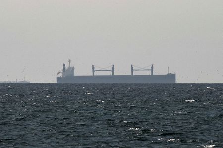 FILE PHOTO: A cargo ship in the Gulf, near the