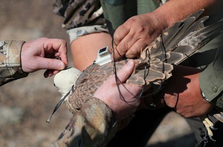 tagreuters.com2026binary_LYNXMPEM320HK-VIEWIMAGE