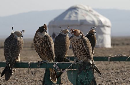 tagreuters.com2026binary_LYNXMPEM320HM-VIEWIMAGE