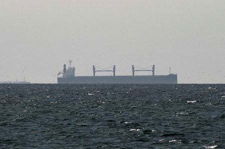FILE PHOTO: FILE PHOTO: A cargo ship in the Gulf,