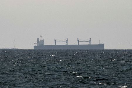 FILE PHOTO: A cargo ship in the Gulf, near the