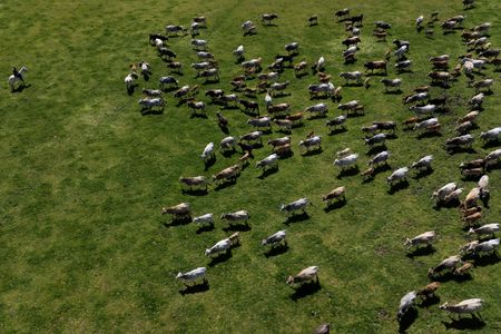 tagreuters.com2026binary_LYNXMPEM3F0GW-VIEWIMAGE