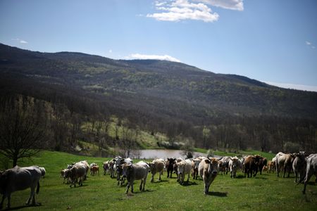 tagreuters.com2026binary_LYNXMPEM3F0GX-VIEWIMAGE